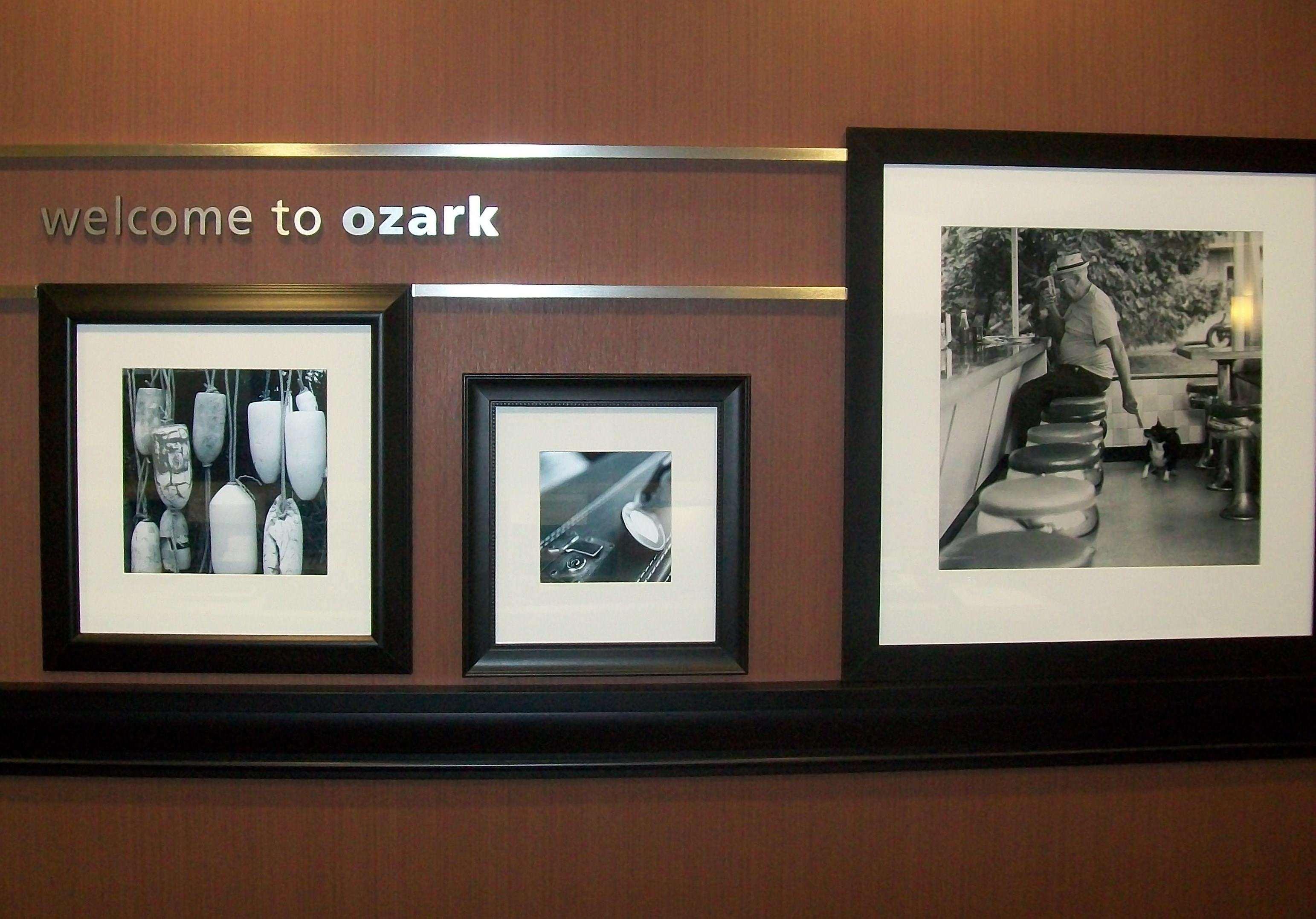 Hampton Inn Ozark Interior photo